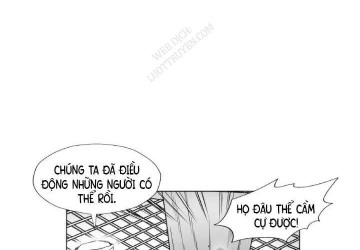 Cơn Bão Đỏ Chapter 355 164