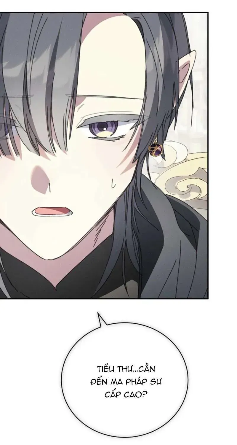 công nương tái sinh Chapter 62 74