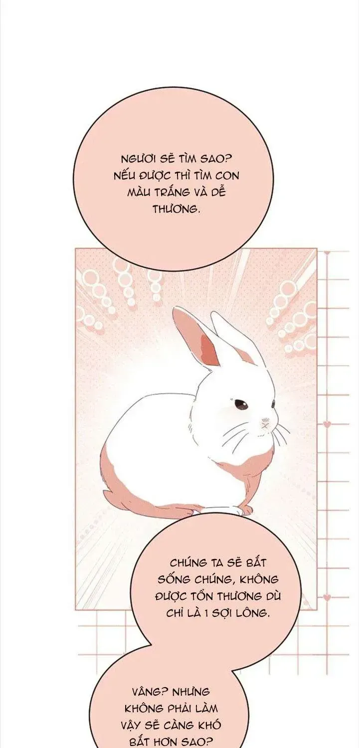 công nương tái sinh Chapter 65 46