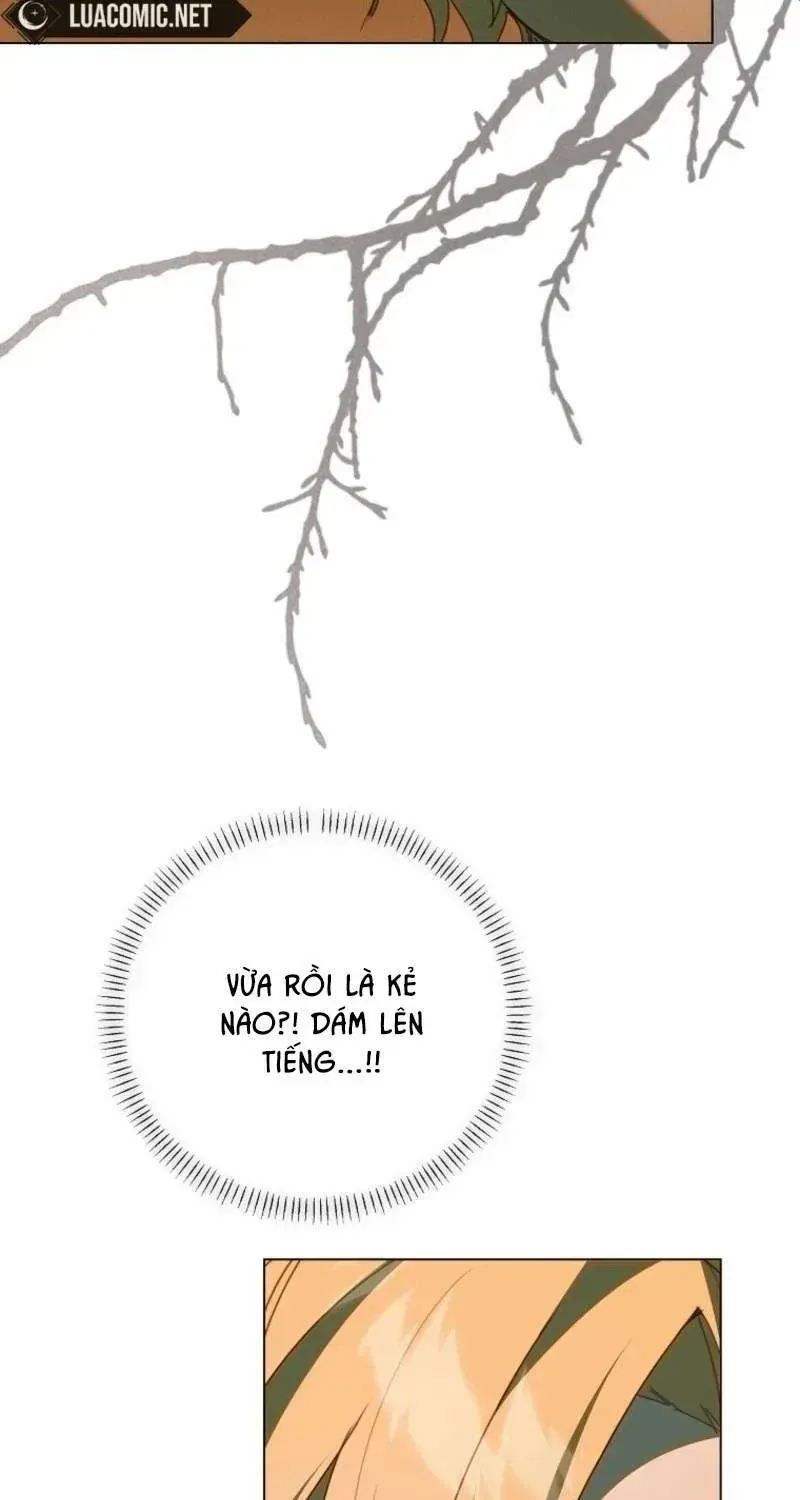 công nương tái sinh Chapter 66 34