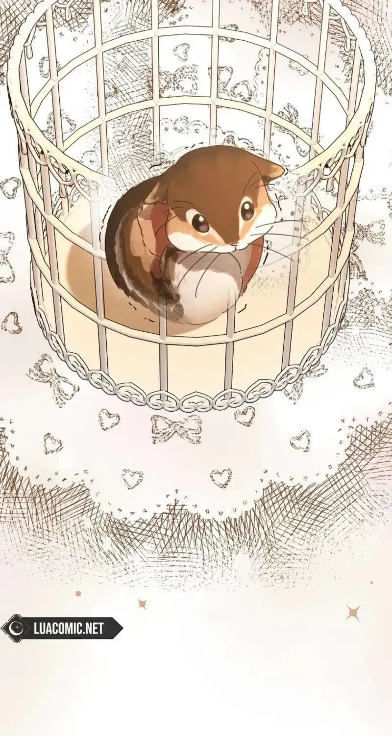 công nương tái sinh Chapter 66 72