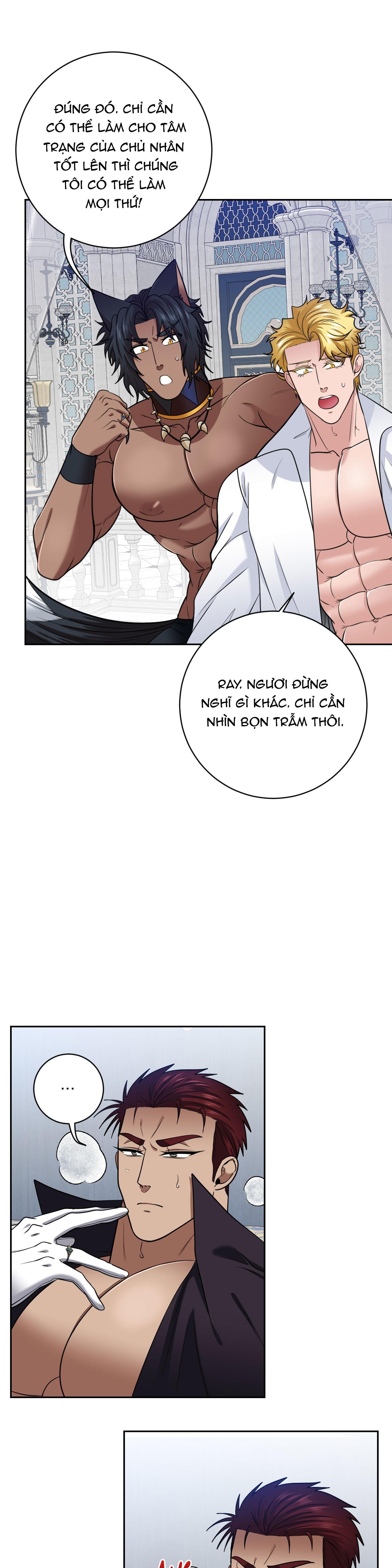CÔNG TƯỚC MUỐN CÓ CON NỐI DÕI Chapter 50 END - Trang 3