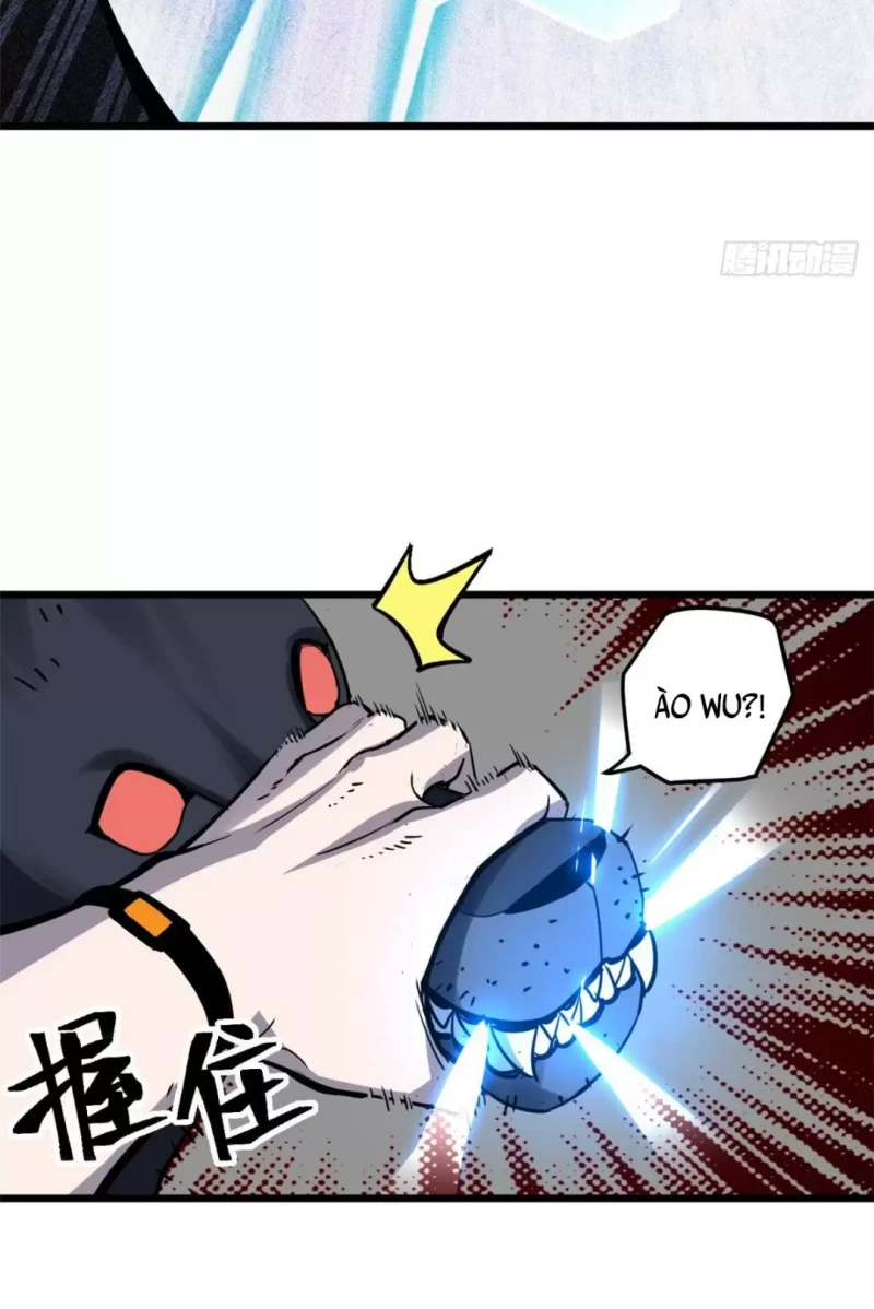 Cửa Hàng Sủng Thú Siêu Thần Chapter 2 - Trang 4