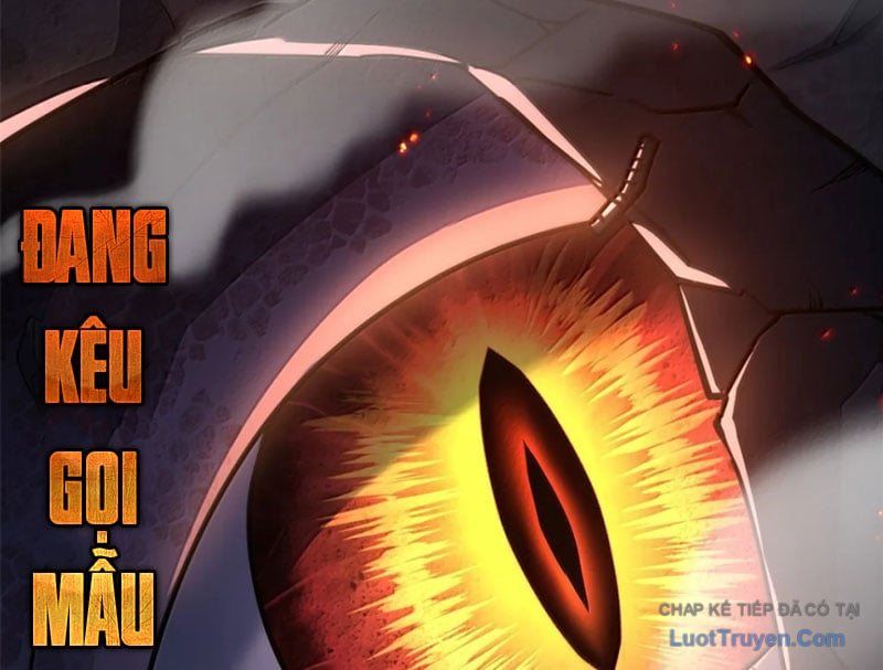 Cửa Hàng Sủng Thú Siêu Thần Chapter 205 - Trang 2