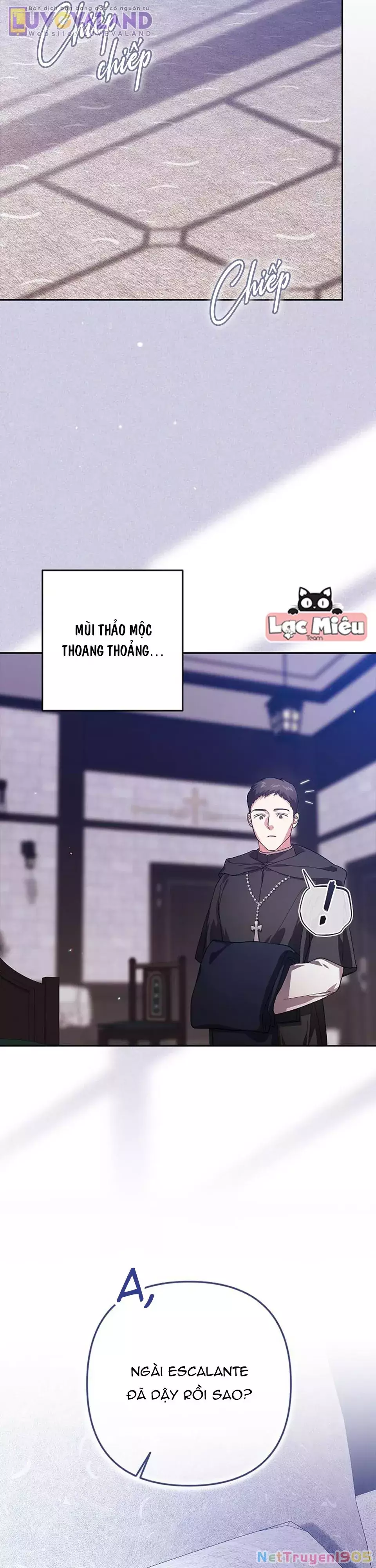 Cuộc Hôn Nhân Này Dù Sao Cũng Sẽ Tan Vỡ Mà Thôi Chapter 101 - Trang 3
