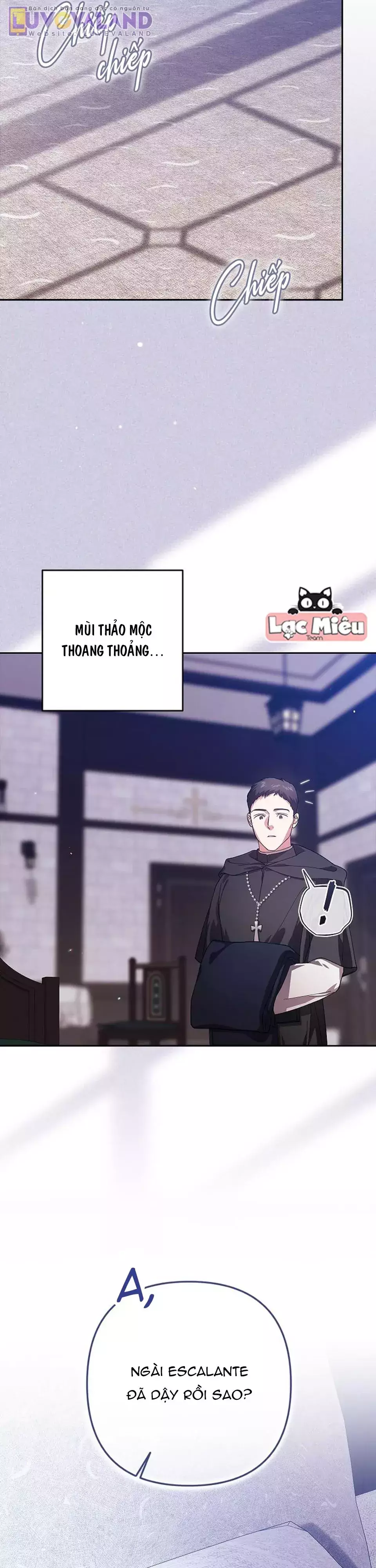 Cuộc Hôn Nhân Này Dù Sao Cũng Sẽ Tan Vỡ Mà Thôi Chapter 101 - Trang 3
