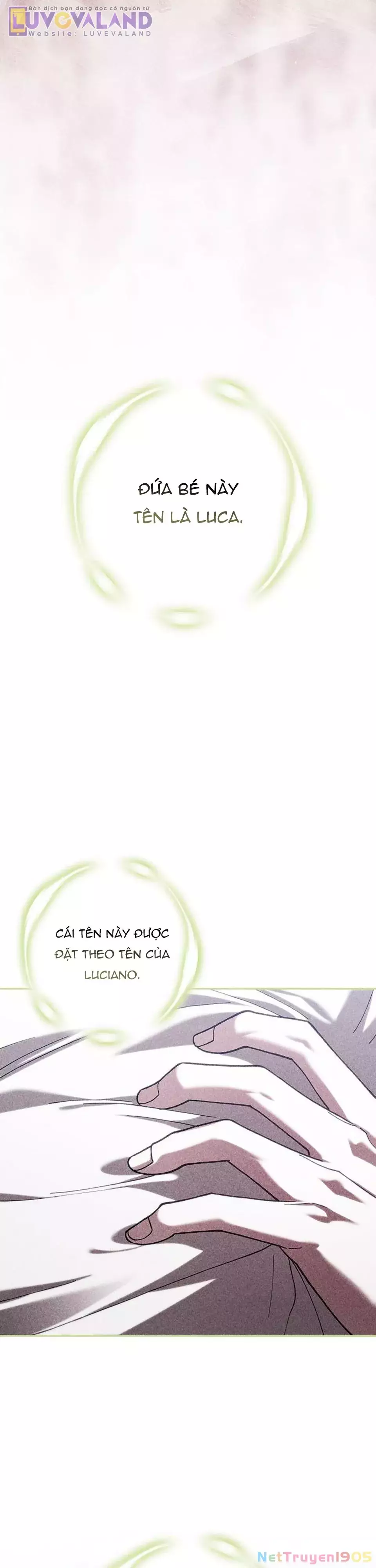 Cuộc Hôn Nhân Này Dù Sao Cũng Sẽ Tan Vỡ Mà Thôi Chapter 102 - Trang 3