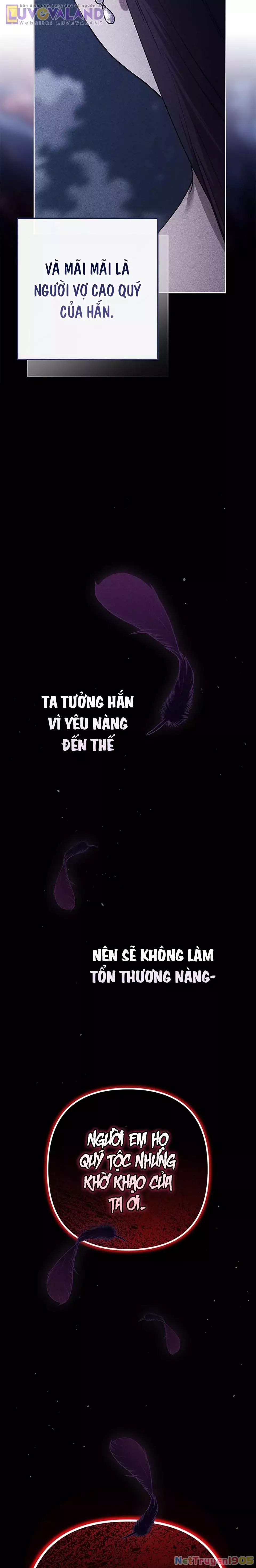 Cuộc Hôn Nhân Này Dù Sao Cũng Sẽ Tan Vỡ Mà Thôi Chapter 98 - Trang 3