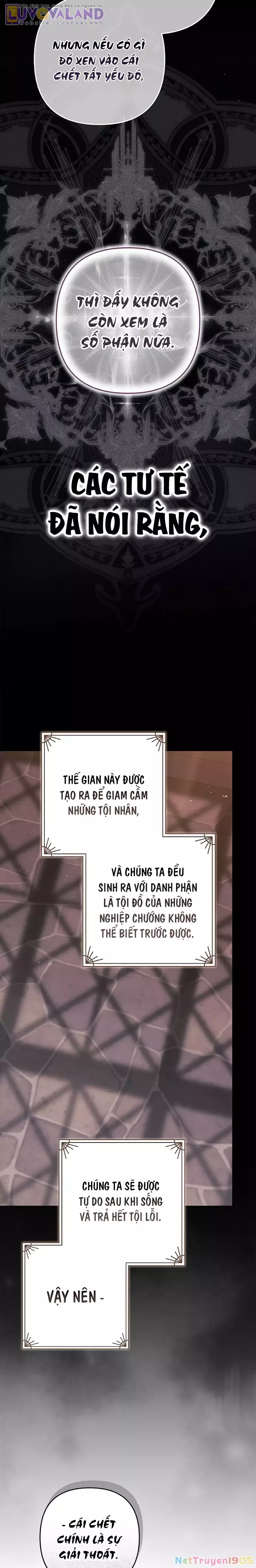 Cuộc Hôn Nhân Này Dù Sao Cũng Sẽ Tan Vỡ Mà Thôi Chapter 99 - Trang 3