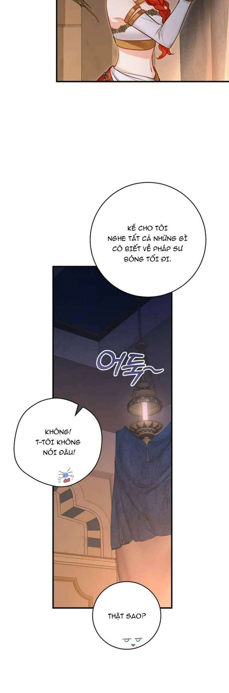 Cuộc Hôn Nhân Xa Hoa Của Đại Công Tước Là Giả Chapter 84 25