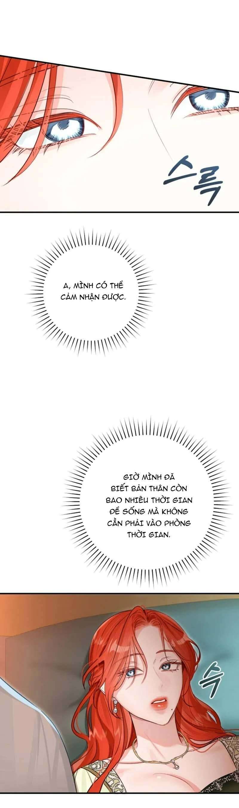 Cuộc Hôn Nhân Xa Hoa Của Đại Công Tước Là Giả Chapter 85 24