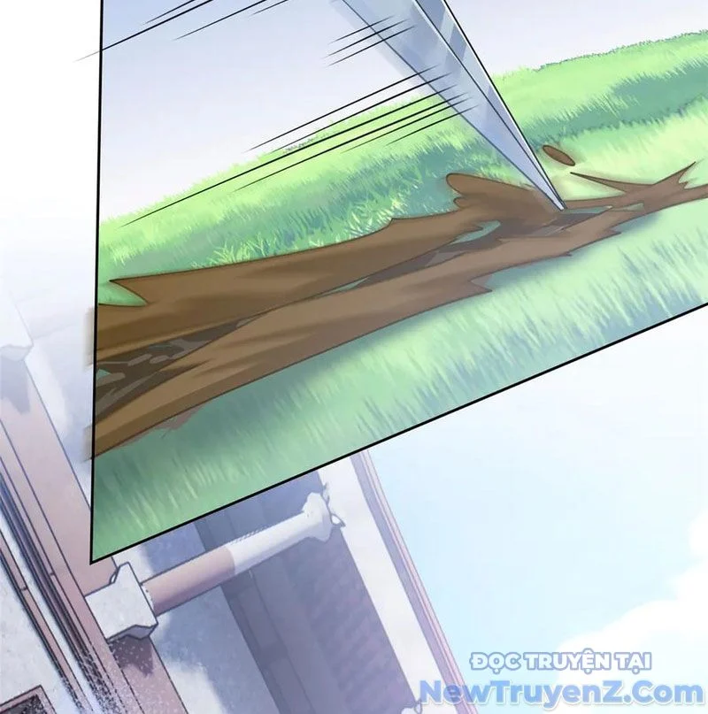Cường Giả Đến Từ Trại Tâm Thần Chapter 345 - Trang 2