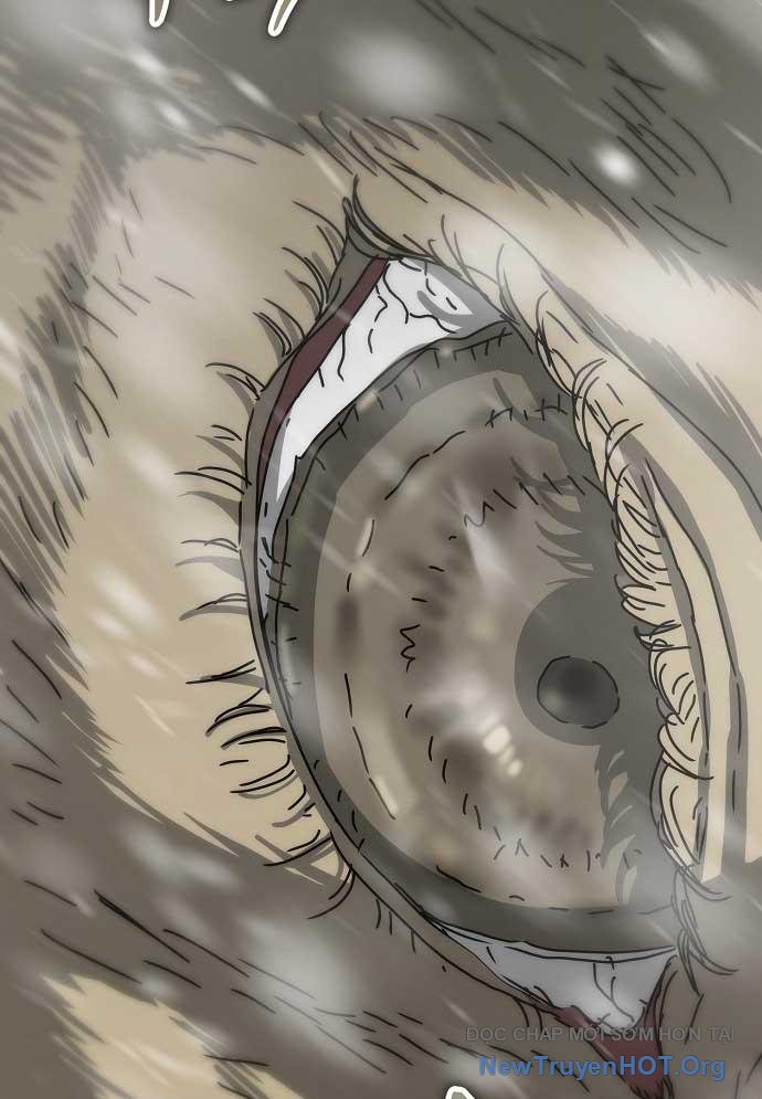 D-Day: Hầm Trú Ẩn Chapter 41 - Trang 2