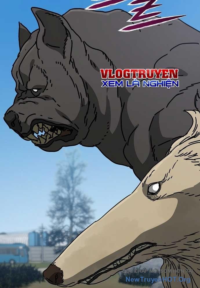 D-Day: Hầm Trú Ẩn Chapter 43 - Trang 2