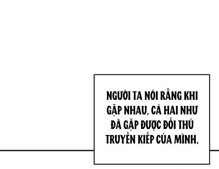 Đại Cao Thủ Chapter 54 - Trang 4