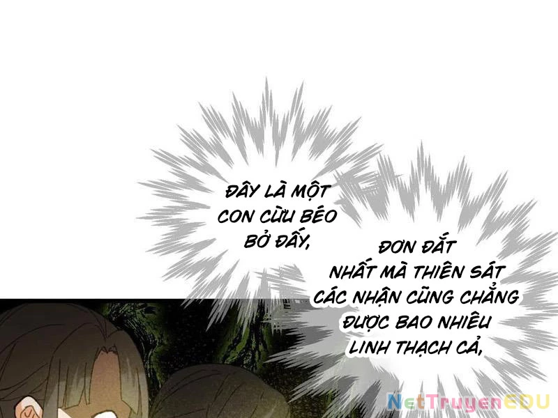 Đại Thừa Kỳ Mới Có Nghịch Tập Hệ Thống Chapter 53 - Trang 4