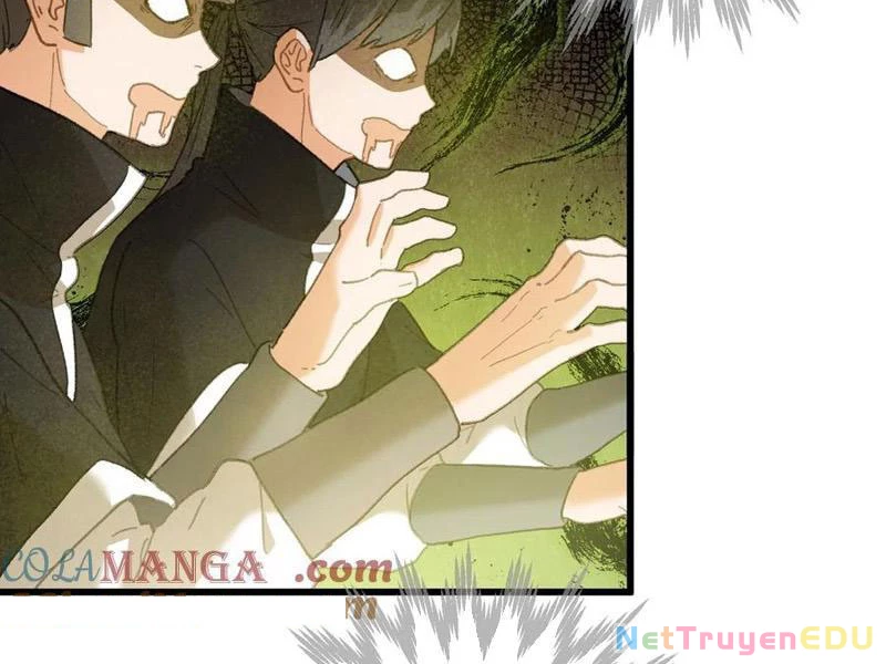 Đại Thừa Kỳ Mới Có Nghịch Tập Hệ Thống Chapter 53 - Trang 4