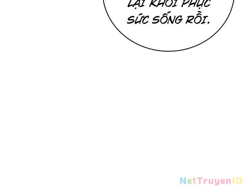 Đại Thừa Kỳ Mới Có Nghịch Tập Hệ Thống Chapter 54 - Next Chapter 55