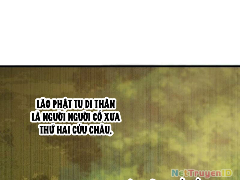 Đại Thừa Kỳ Mới Có Nghịch Tập Hệ Thống Chapter 54 - Next Chapter 55