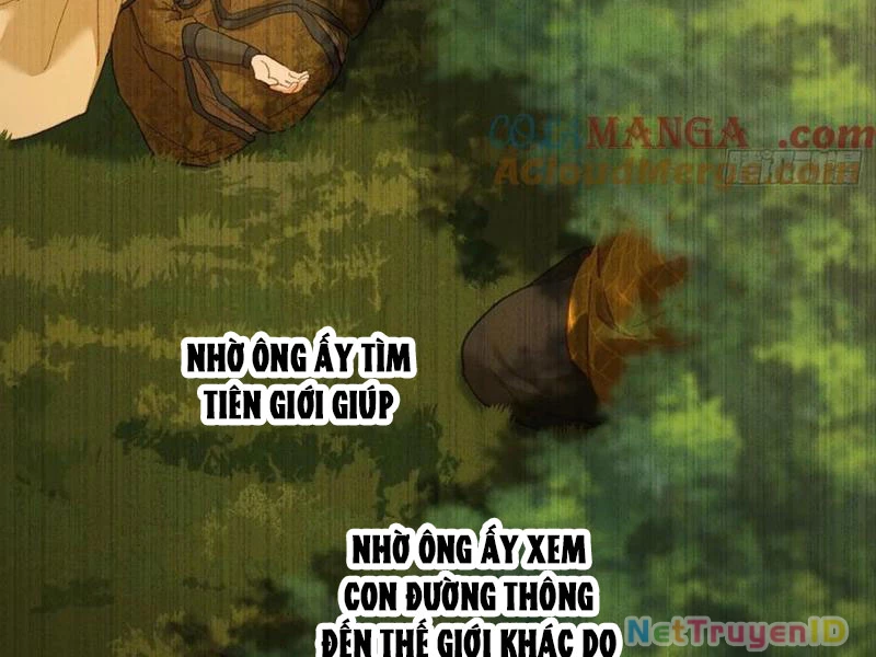 Đại Thừa Kỳ Mới Có Nghịch Tập Hệ Thống Chapter 54 - Next Chapter 55