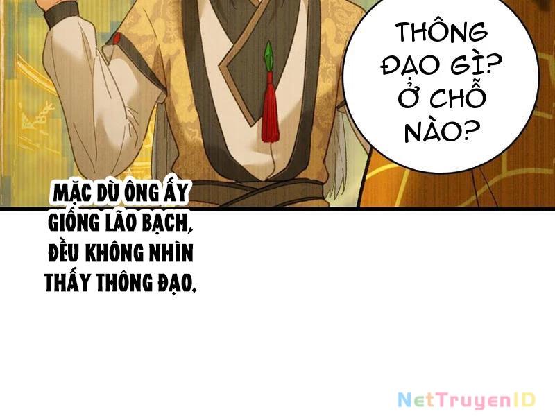 Đại Thừa Kỳ Mới Có Nghịch Tập Hệ Thống Chapter 54 - Next Chapter 55