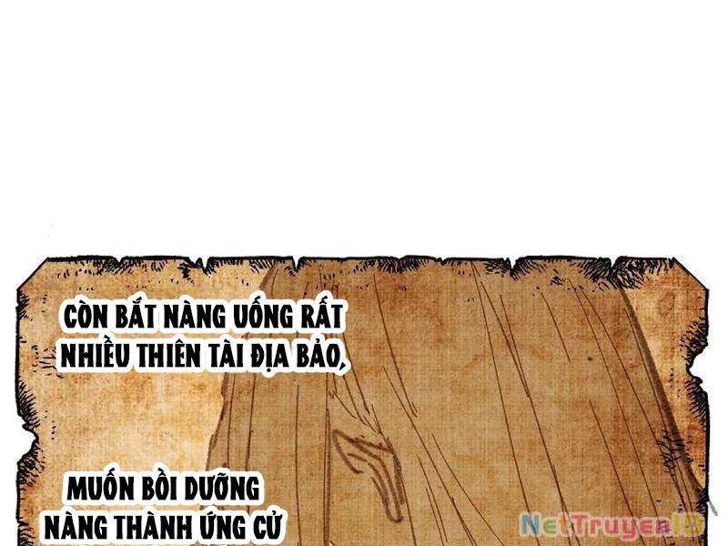 Đại Thừa Kỳ Mới Có Nghịch Tập Hệ Thống Chapter 54 - Next Chapter 55