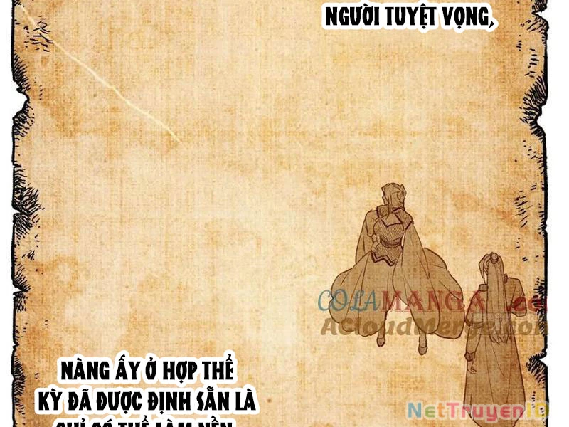 Đại Thừa Kỳ Mới Có Nghịch Tập Hệ Thống Chapter 54 - Next Chapter 55