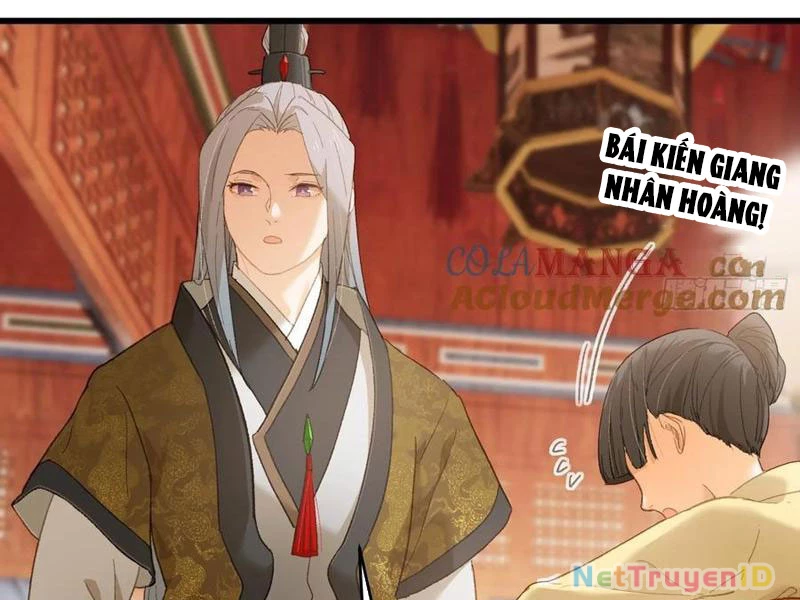 Đại Thừa Kỳ Mới Có Nghịch Tập Hệ Thống Chapter 54 - Next Chapter 55