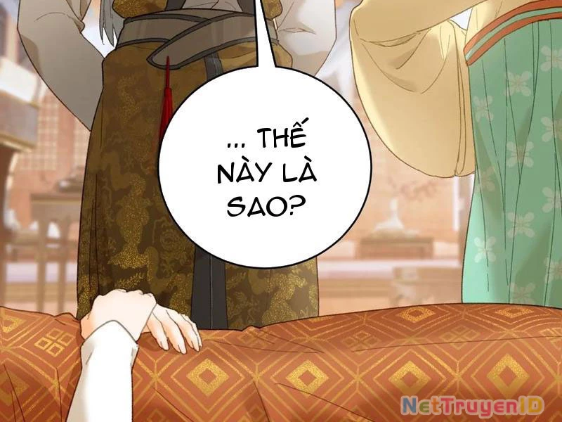 Đại Thừa Kỳ Mới Có Nghịch Tập Hệ Thống Chapter 54 - Next Chapter 55