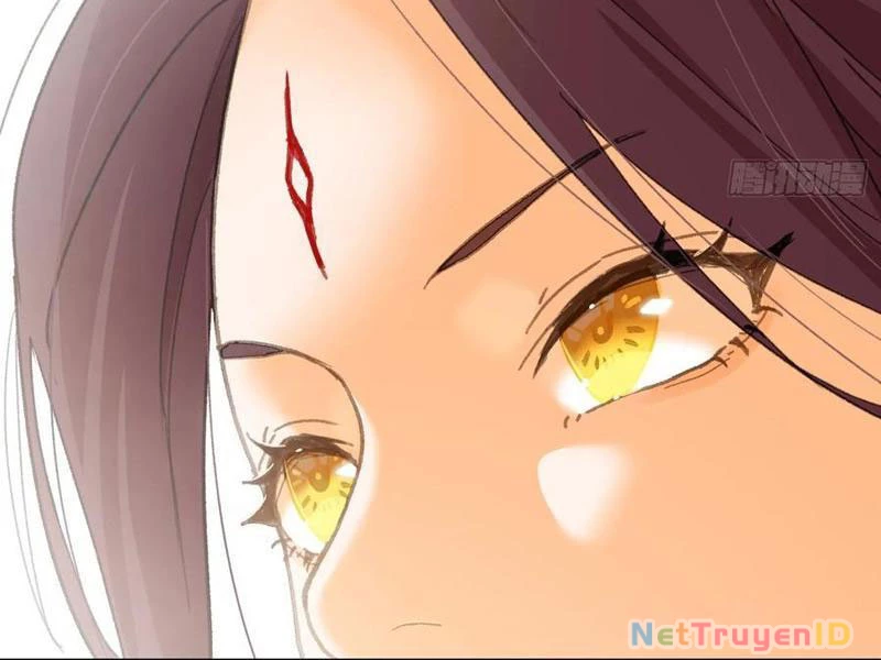 Đại Thừa Kỳ Mới Có Nghịch Tập Hệ Thống Chapter 54 - Next Chapter 55