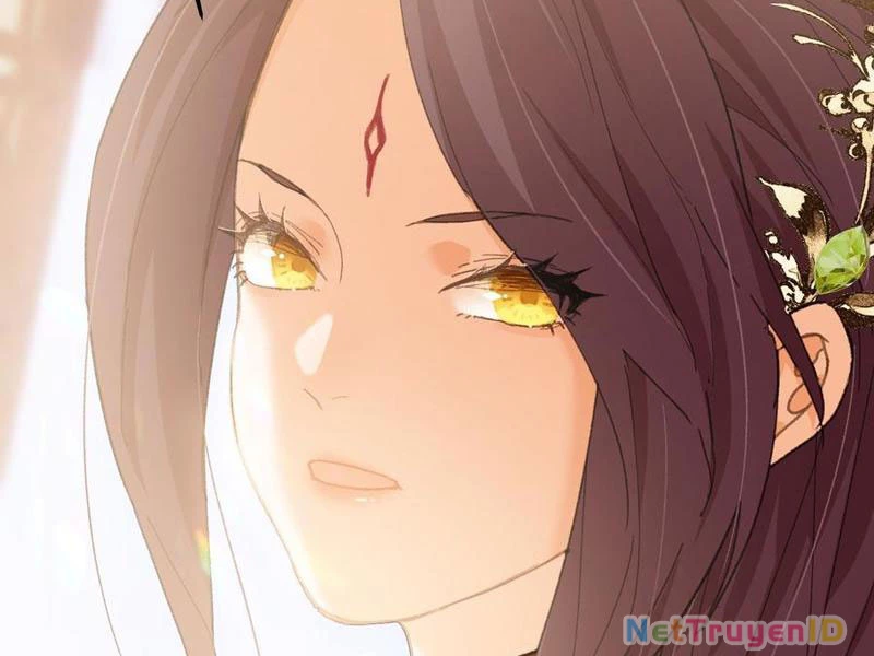 Đại Thừa Kỳ Mới Có Nghịch Tập Hệ Thống Chapter 55 - Trang 2