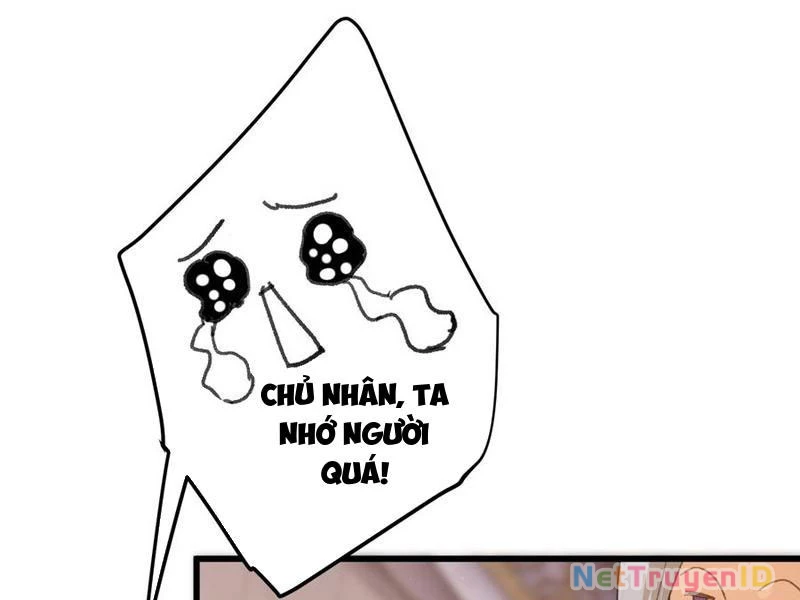 Đại Thừa Kỳ Mới Có Nghịch Tập Hệ Thống Chapter 55 - Trang 2