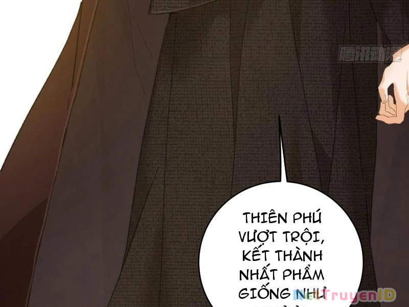 Đại Thừa Kỳ Mới Có Nghịch Tập Hệ Thống Chapter 55 - Trang 2