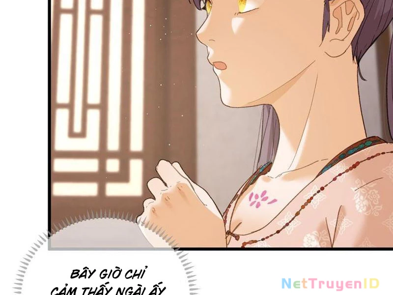Đại Thừa Kỳ Mới Có Nghịch Tập Hệ Thống Chapter 55 - Trang 2