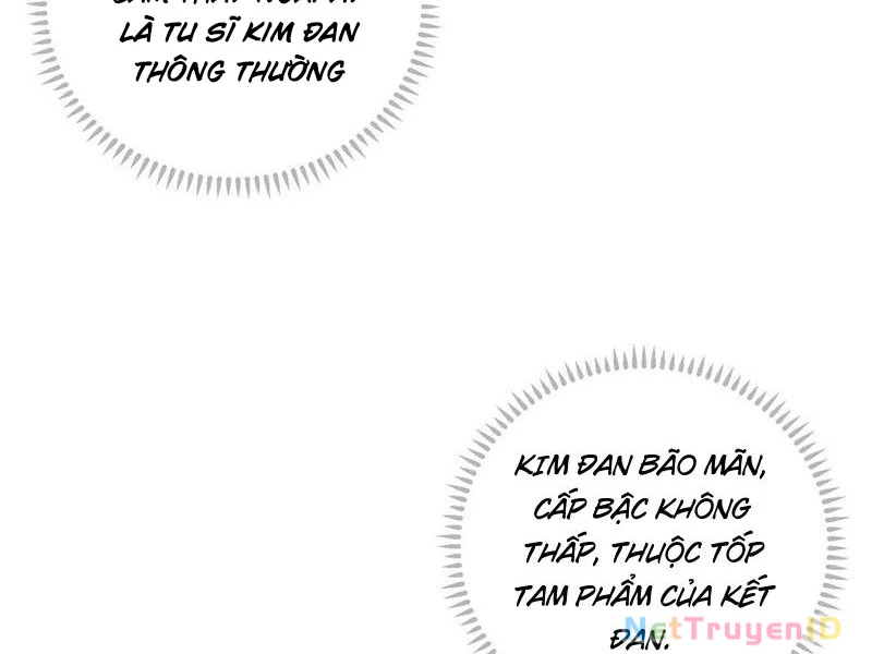 Đại Thừa Kỳ Mới Có Nghịch Tập Hệ Thống Chapter 55 - Trang 2