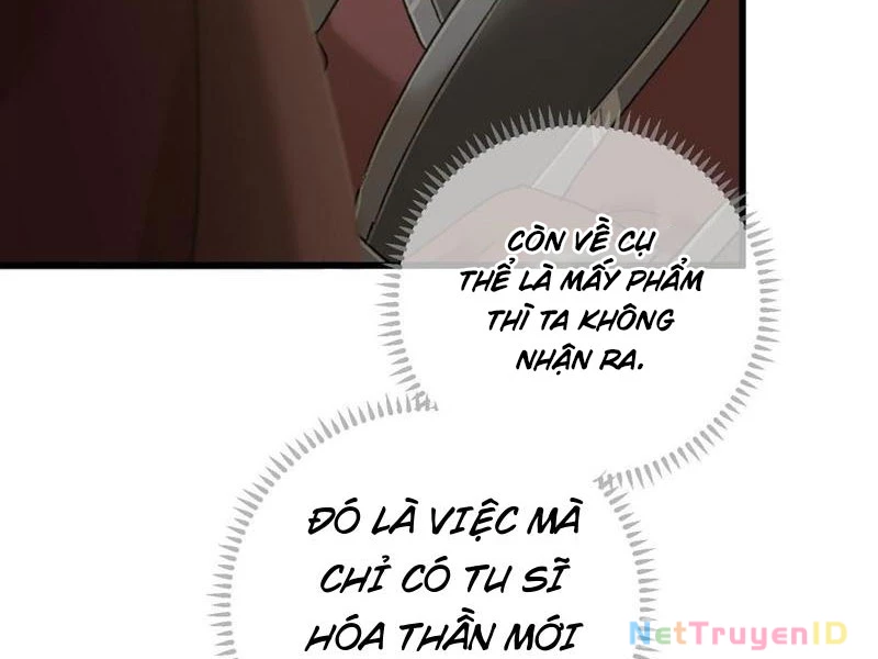 Đại Thừa Kỳ Mới Có Nghịch Tập Hệ Thống Chapter 55 - Trang 2