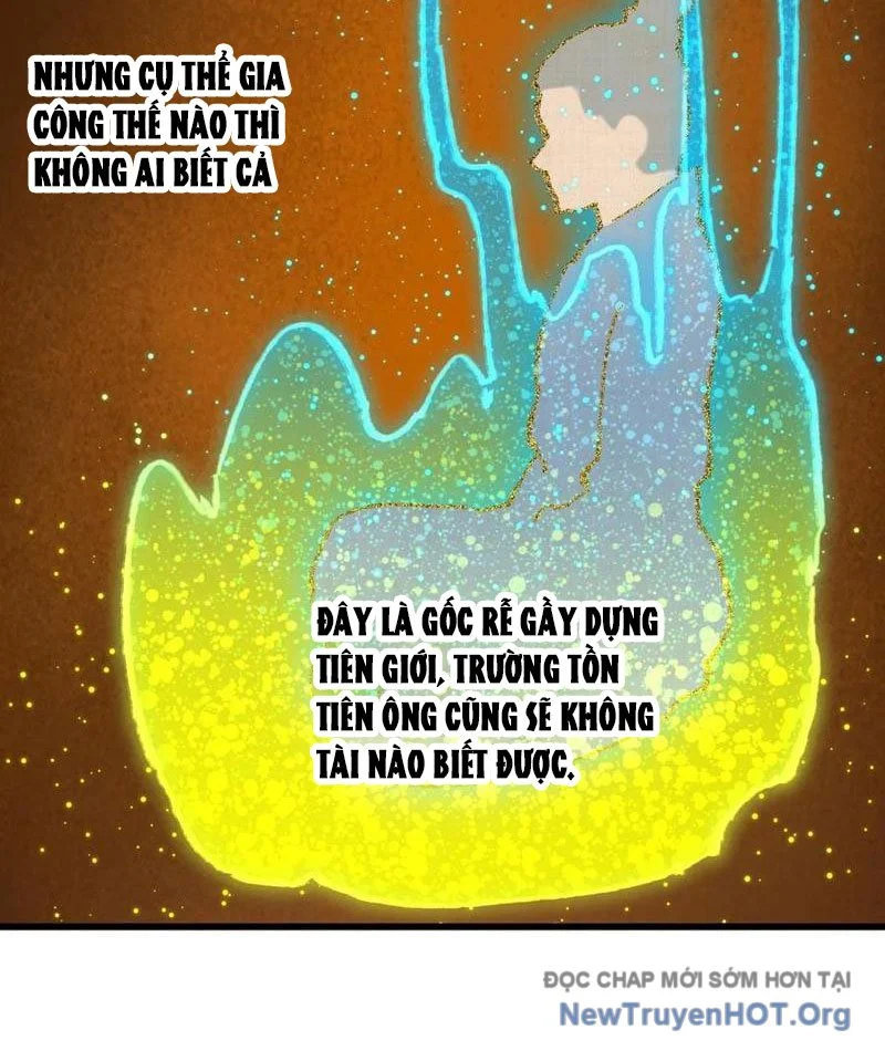 Đại Thừa Kỳ Mới Có Nghịch Tập Hệ Thống Chapter 69 - Trang 2