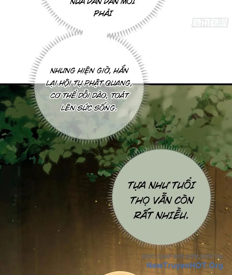 Đại Thừa Kỳ Mới Có Nghịch Tập Hệ Thống Chapter 69 - Trang 2