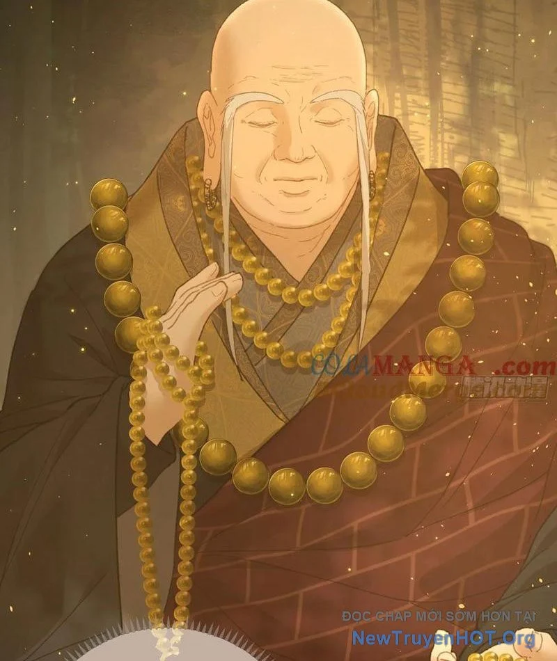 Đại Thừa Kỳ Mới Có Nghịch Tập Hệ Thống Chapter 69 - Trang 2