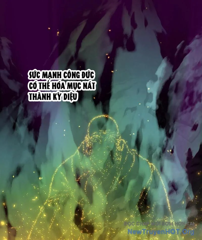 Đại Thừa Kỳ Mới Có Nghịch Tập Hệ Thống Chapter 69 - Trang 2