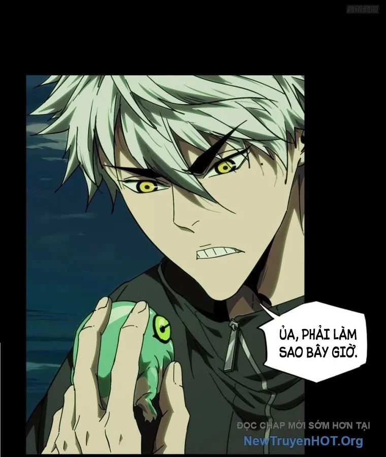 Đại Tượng Vô Hình Chapter 505 - Trang 2