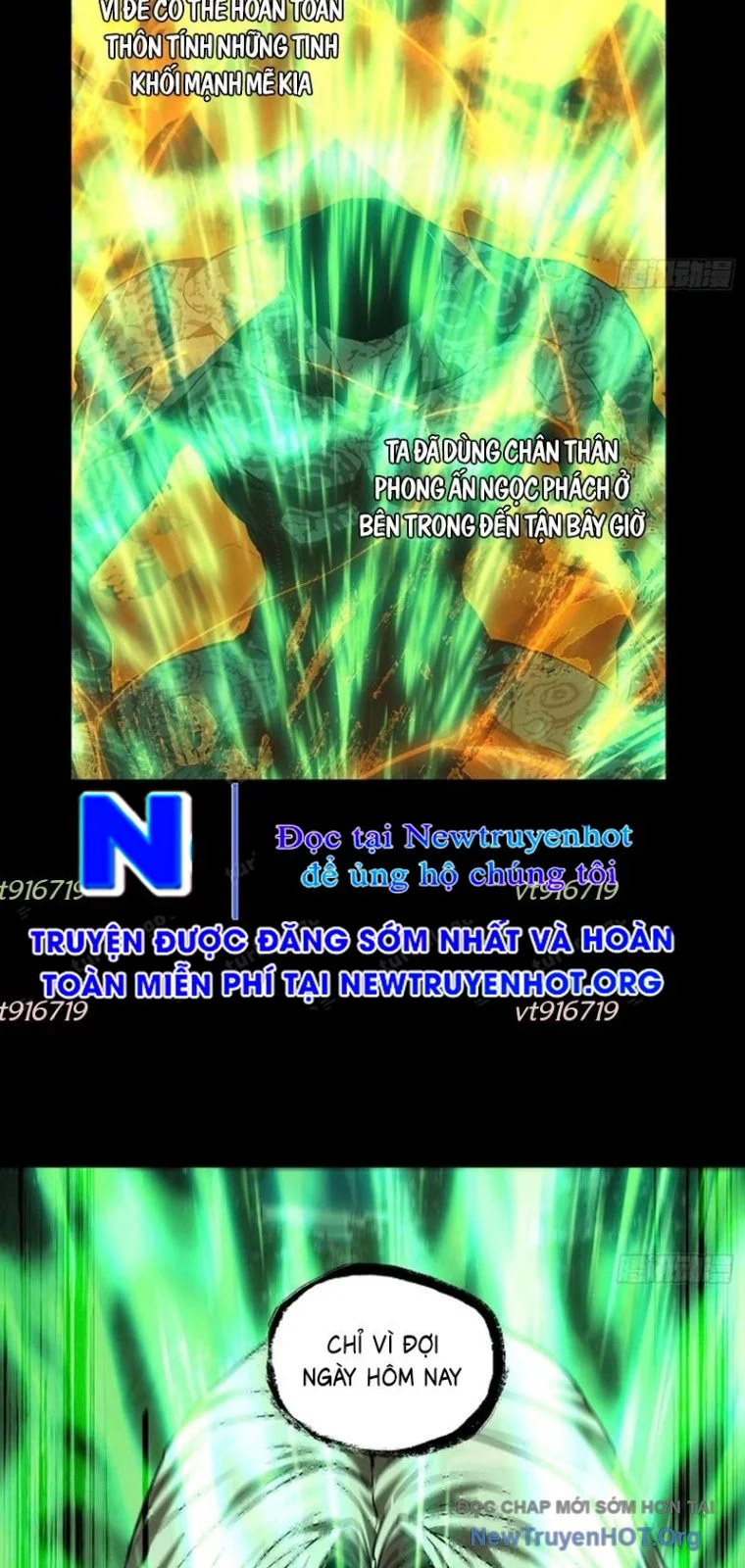 Đại Tượng Vô Hình Chapter 514 - Trang 3