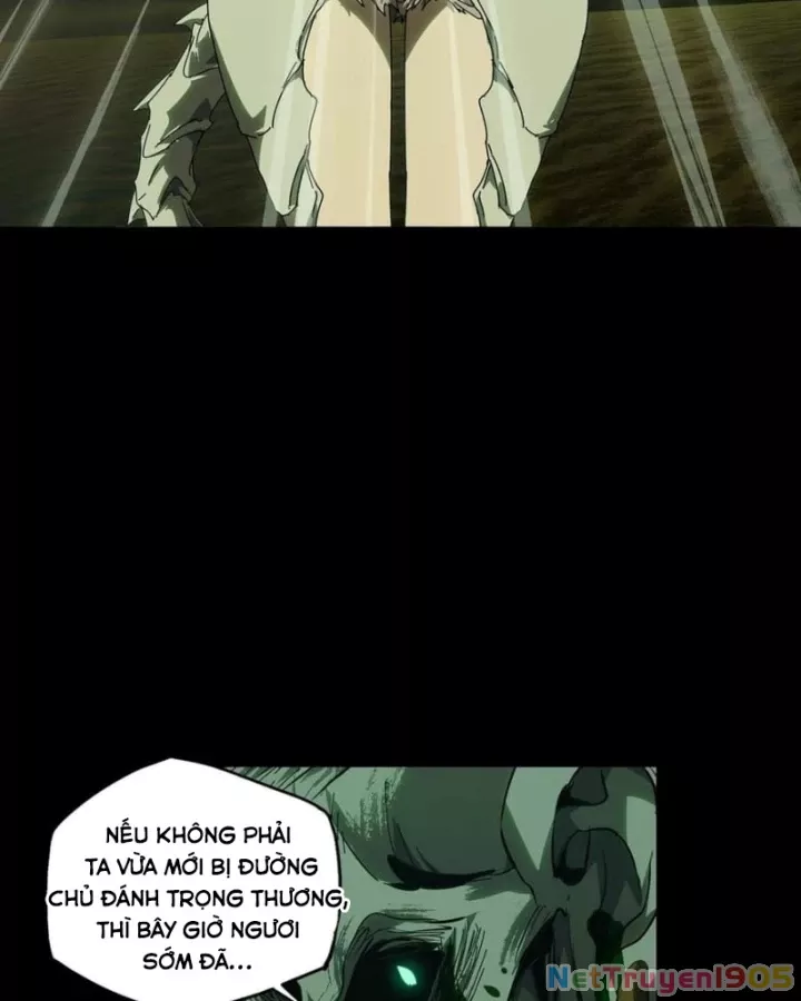 Đại Tượng Vô Hình Chapter 517 - Next 