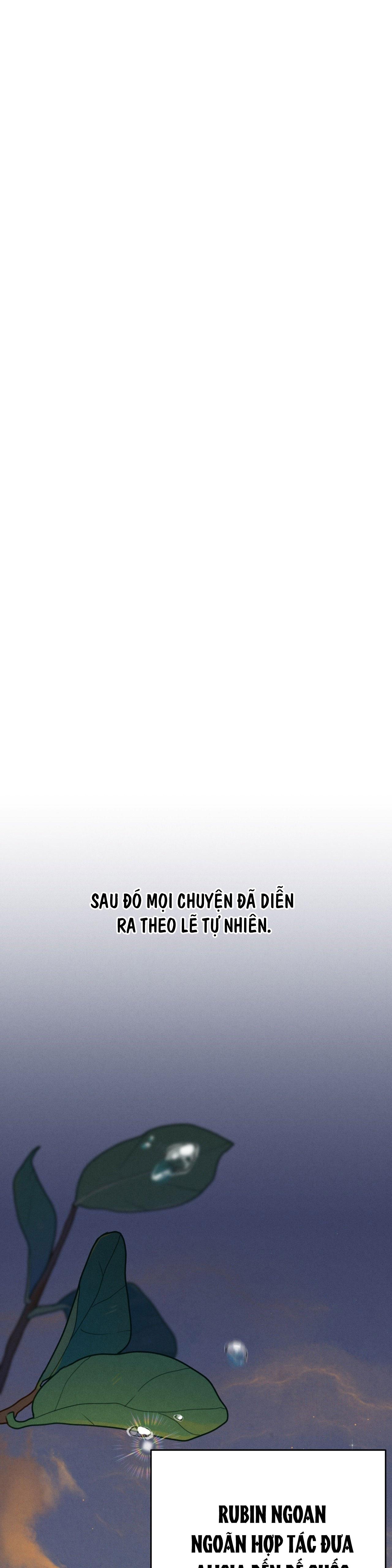 ĐÁM CƯỚI TAI TIẾNG Chapter 33 - Trang 2