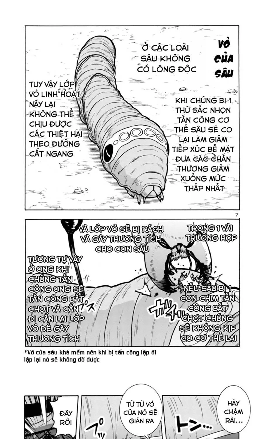 Đảo Côn Trùng Chapter 74 7