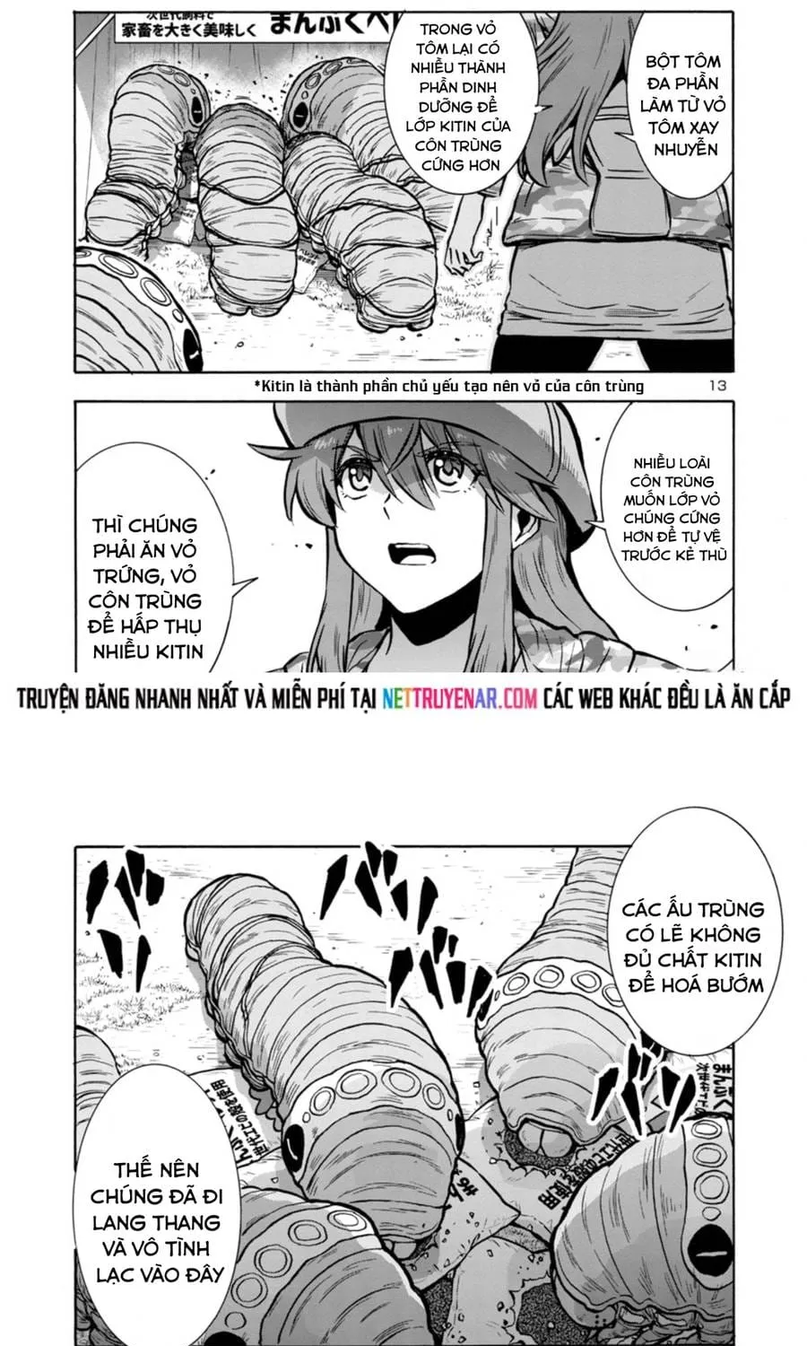 Đảo Côn Trùng Chapter 74 13