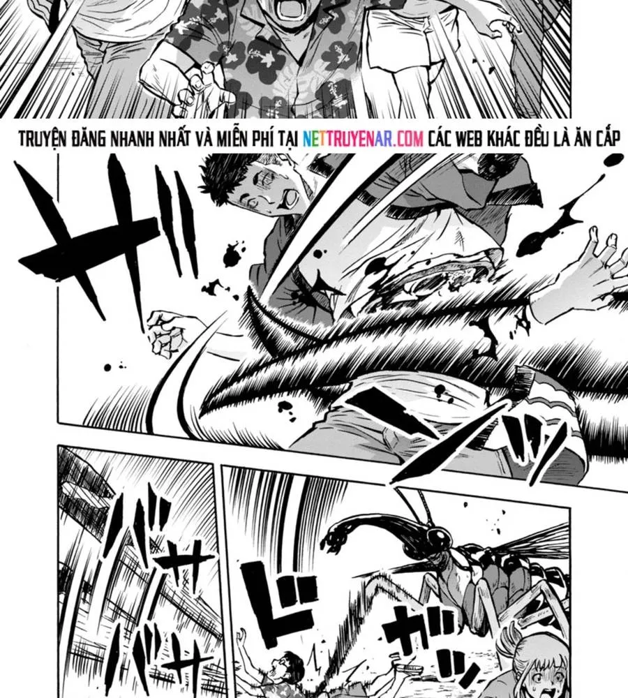 Đảo Côn Trùng Chapter 75 15