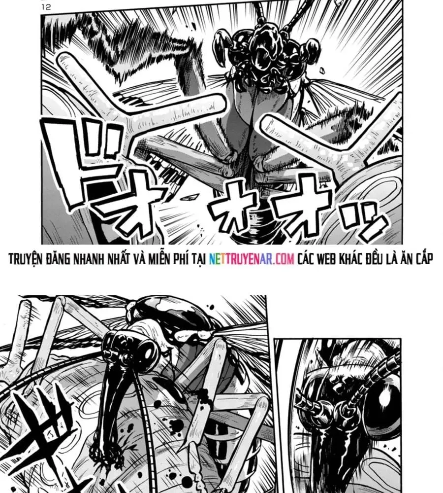 Đảo Côn Trùng Chapter 76 11