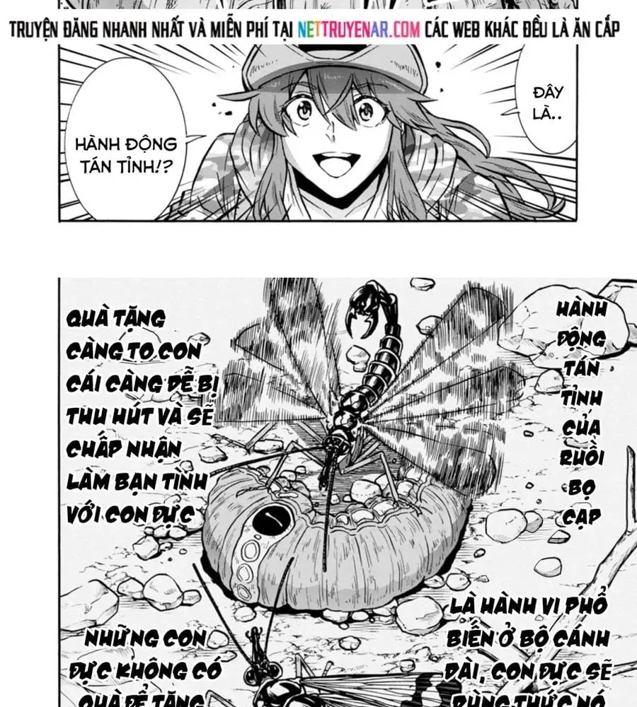đảo côn trùng Chapter 77 14