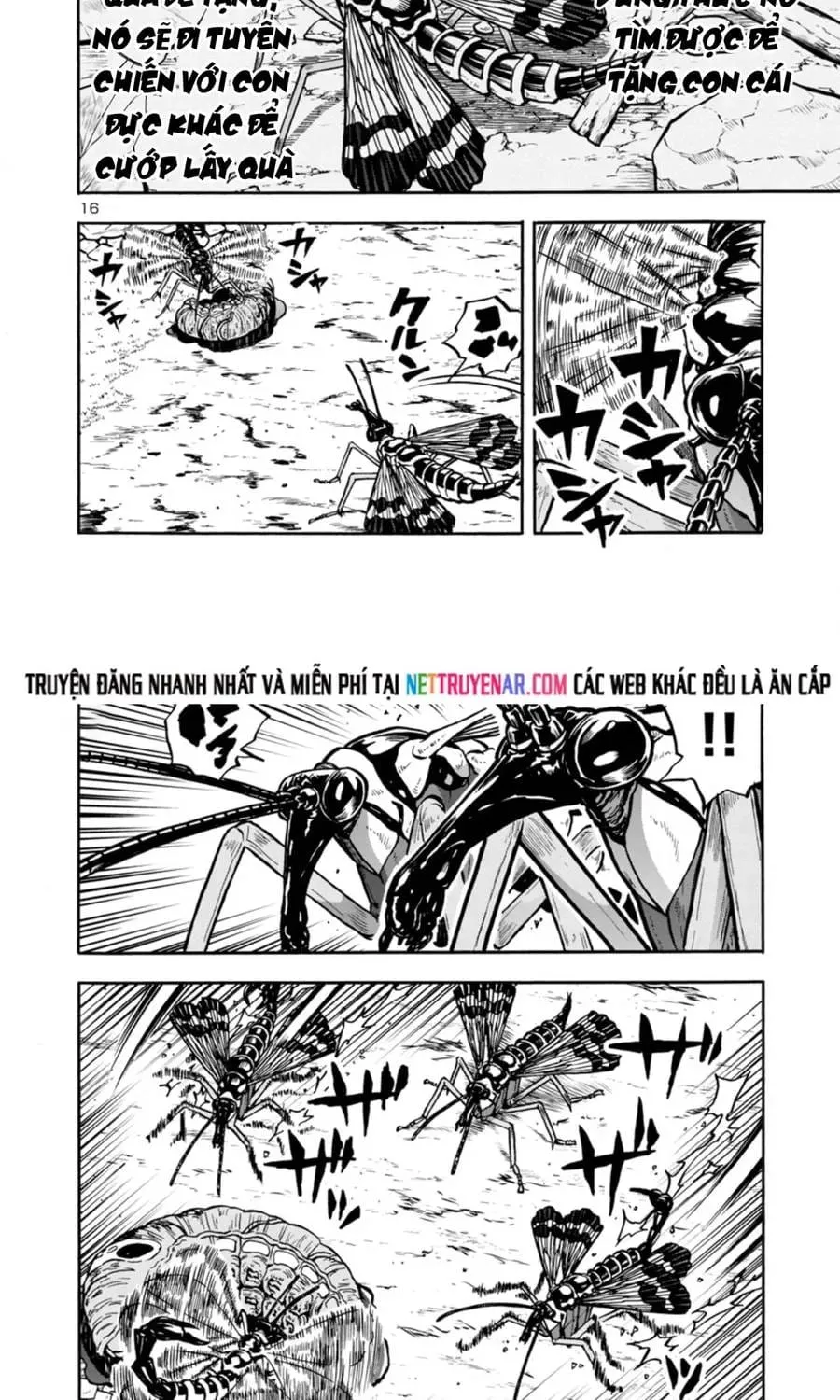 đảo côn trùng Chapter 77 15